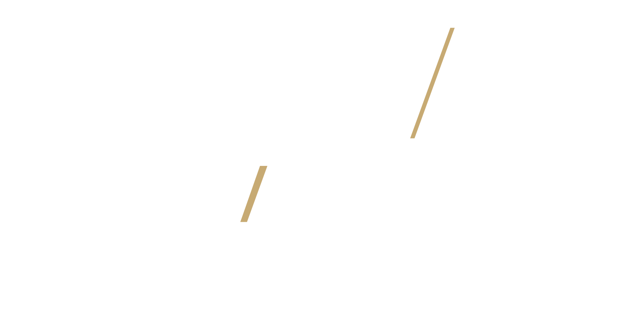 Advance Paris logo